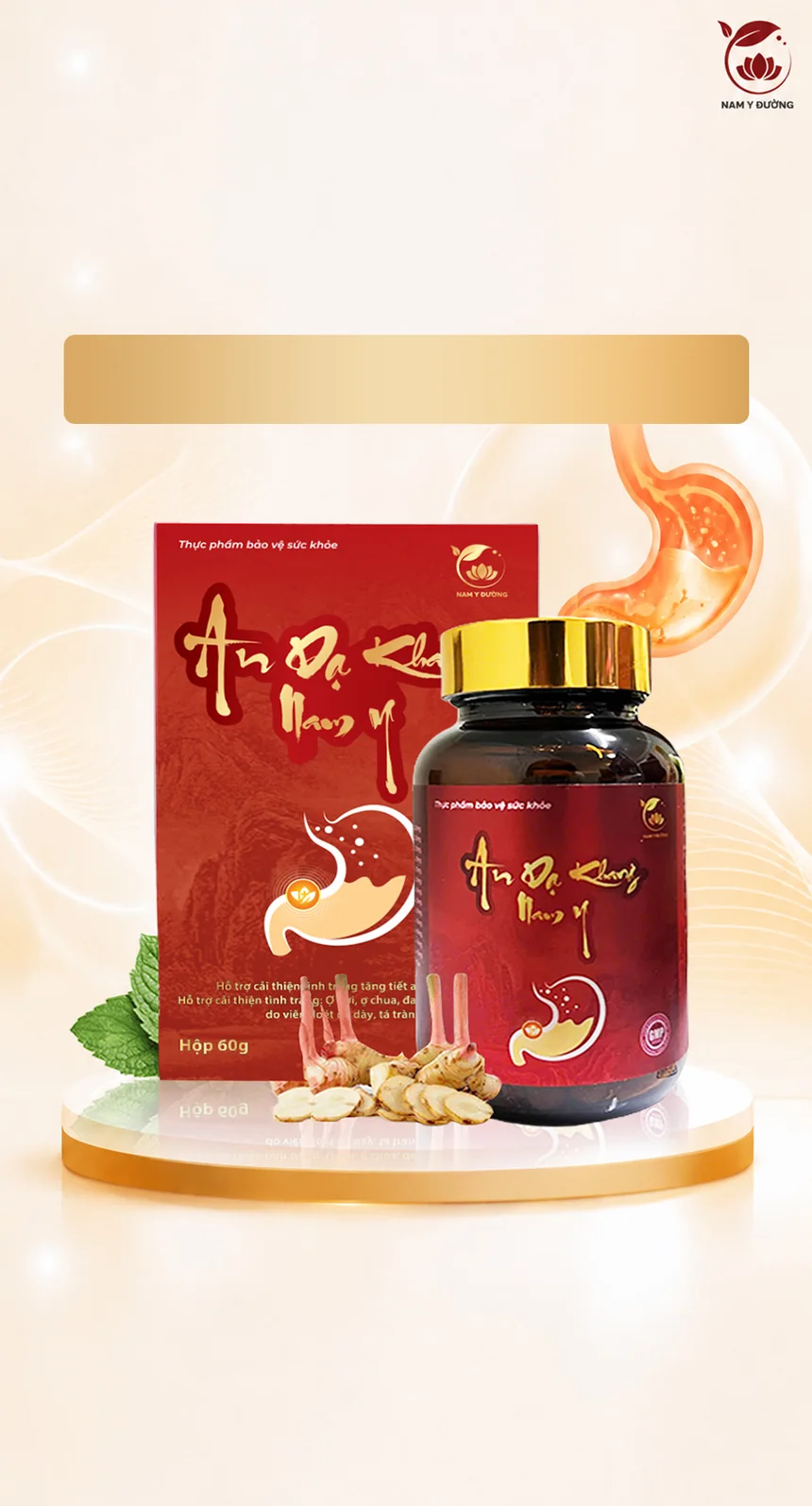 Ảnh cover An Dạ Khang Nam Y