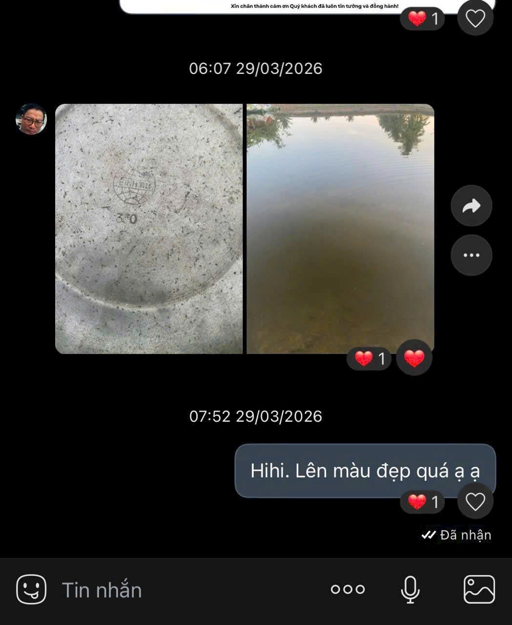 Feedback