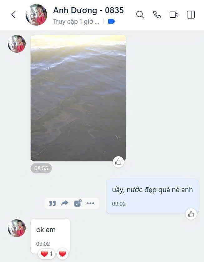 Feedback khách hàng