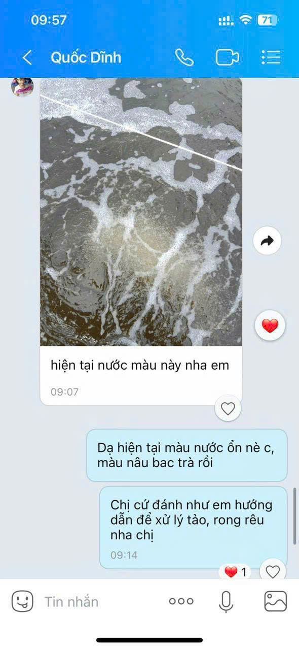 Feedback khách hàng