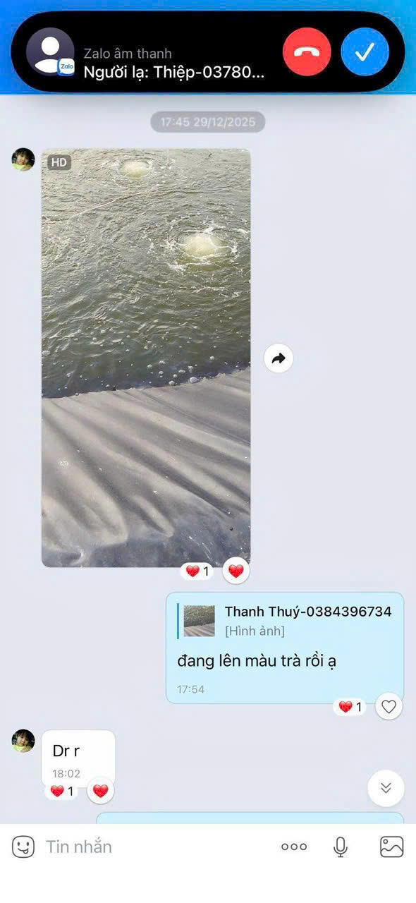 Feedback khách hàng