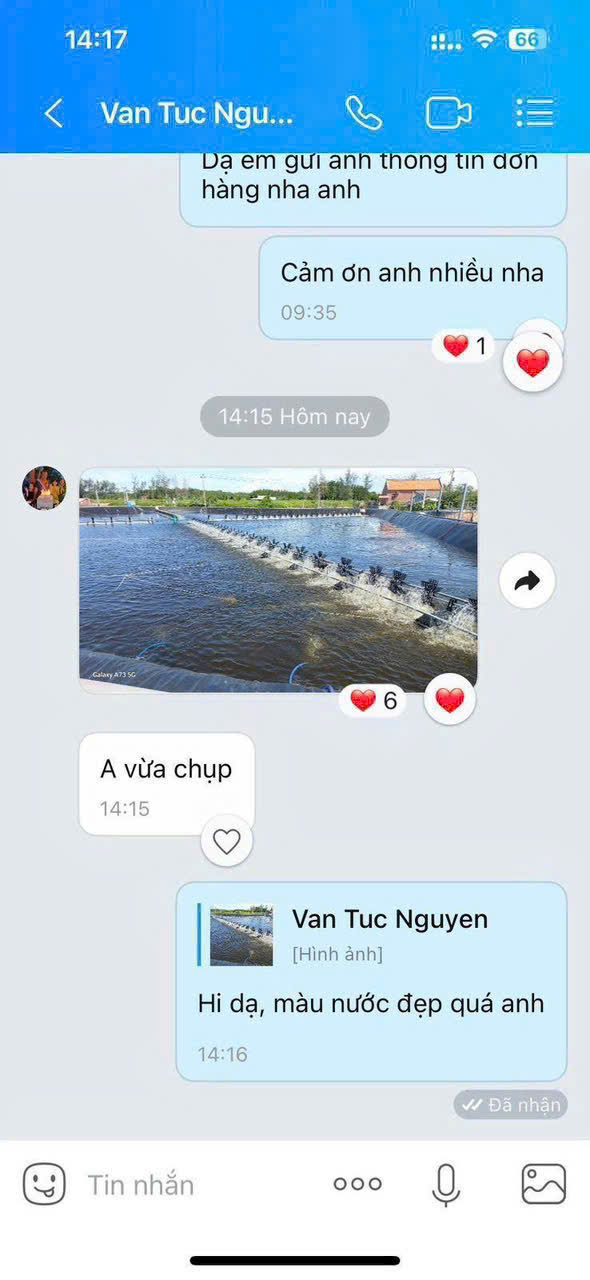 Feedback khách hàng
