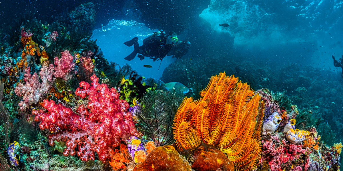 diving in Nha Trang