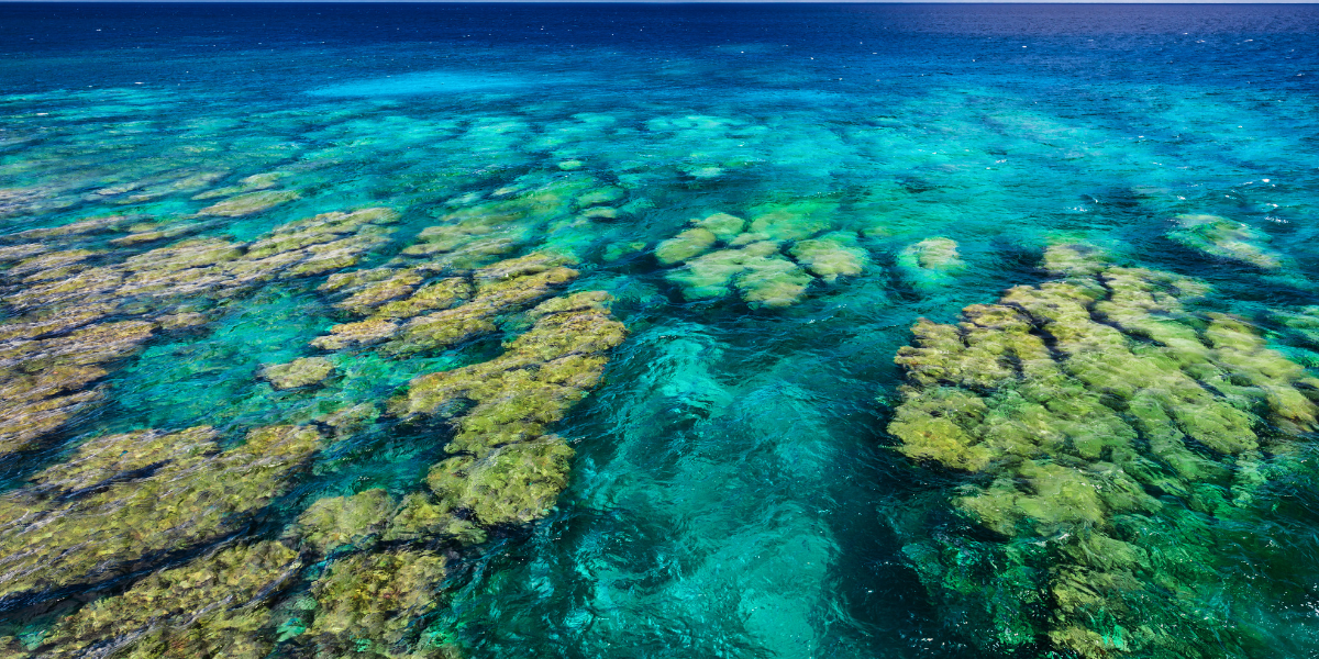 Snorkeling in Nha Trang