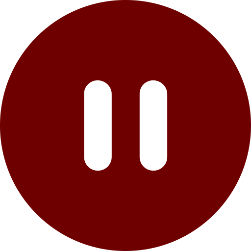 Pause Icon