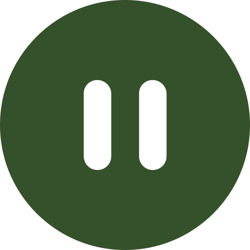 Pause Icon