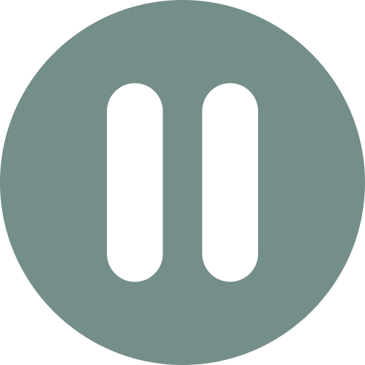 Pause Icon