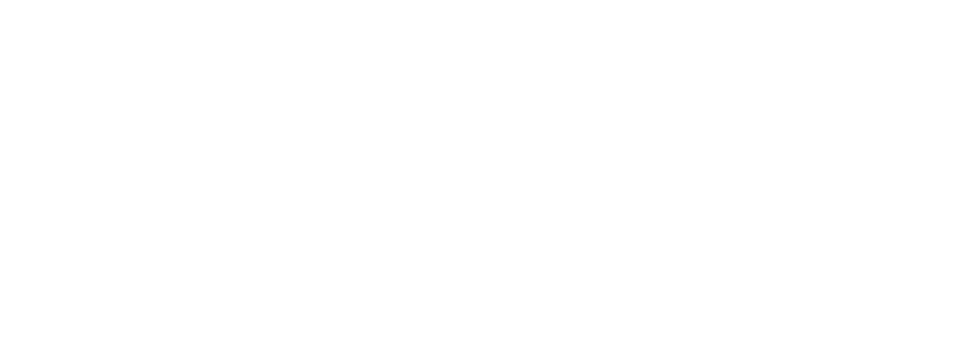 WisEdoo