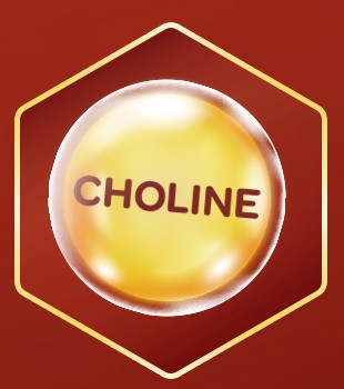 Cholin