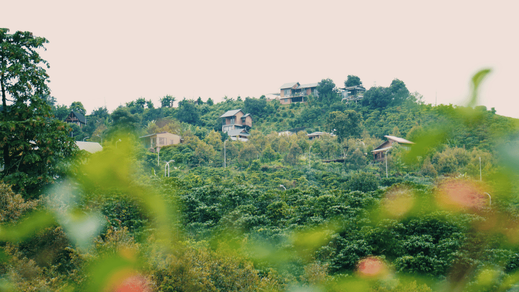 Khí hậu và địa lý — lợi thế không thể sao chép