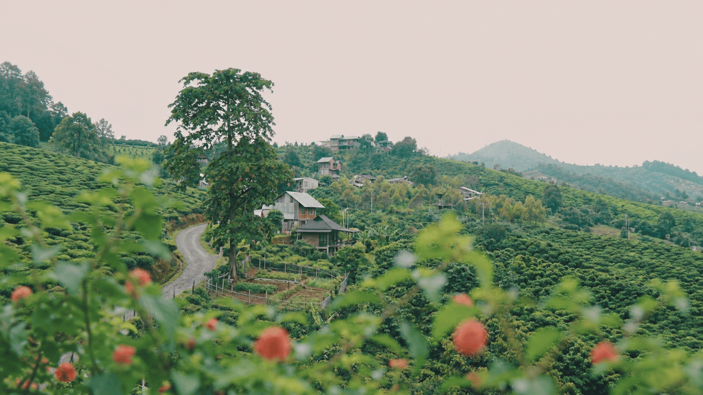 Mật độ xây dựng thấp — lựa chọn khó, nhưng đúng cho thế hệ mai sau