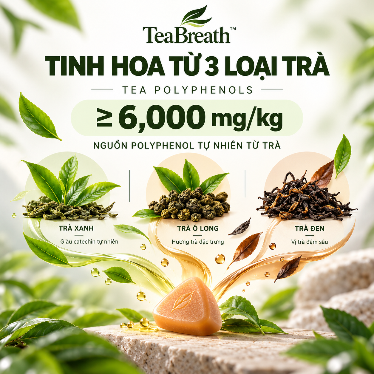 Ảnh 3 - Thông tin về trà và polyphenol