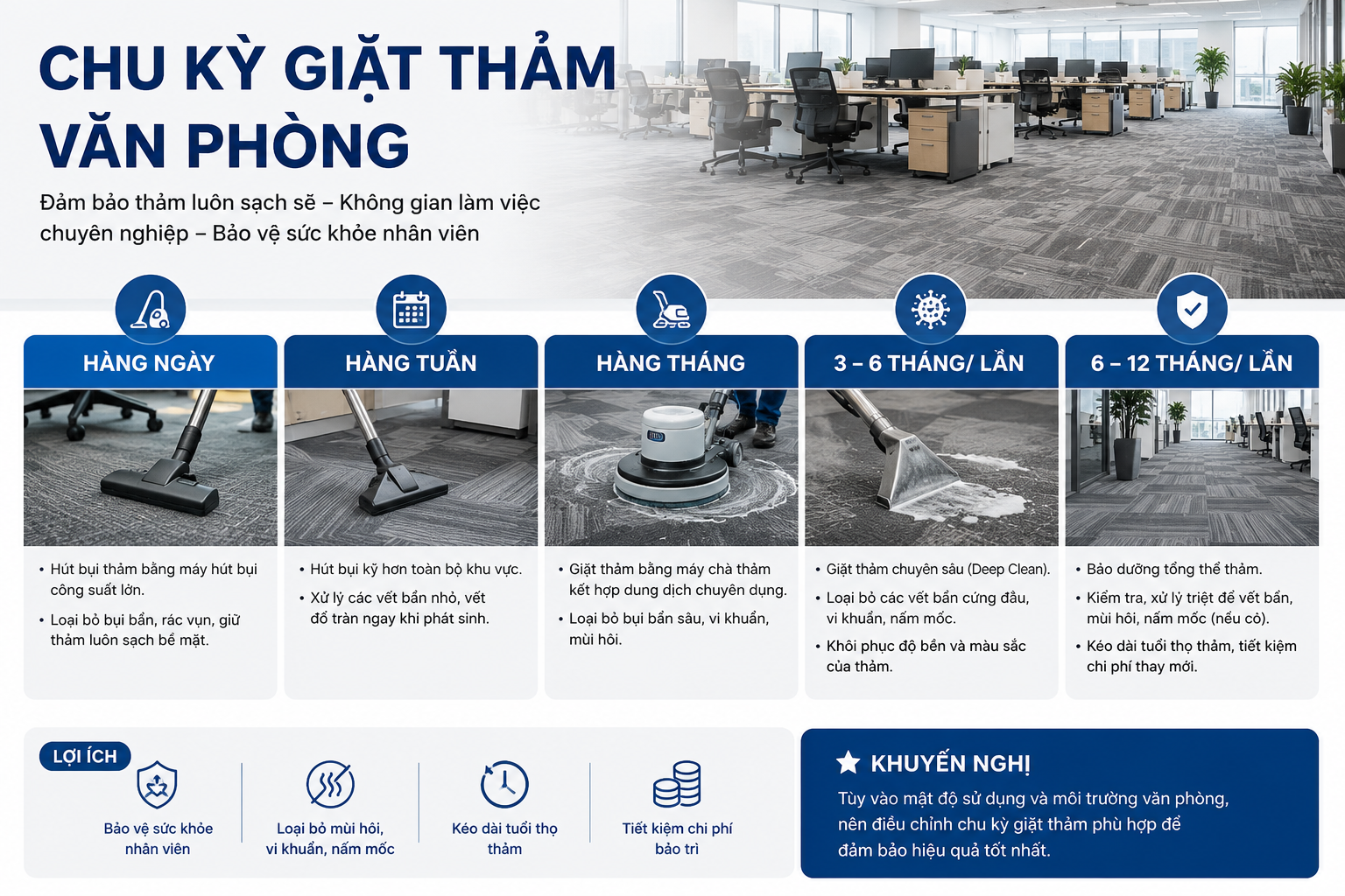 Hình ảnh Chu Kỳ Giặt Thảm Văn Phòng