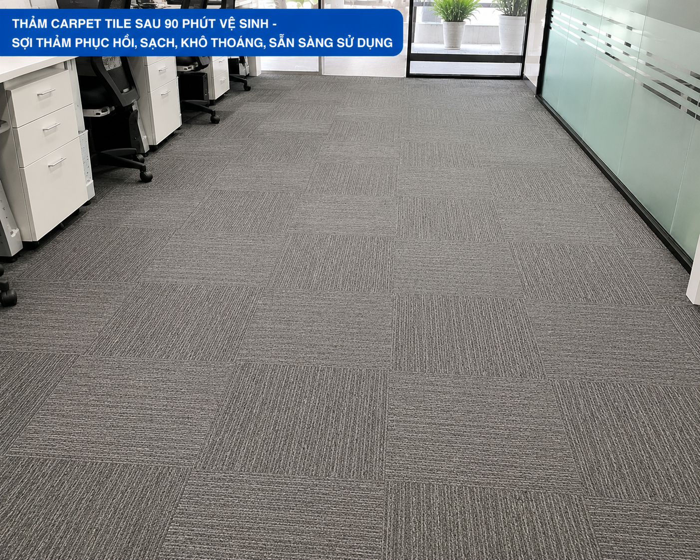 Sợi thảm phục hồi, loại bỏ toàn bộ vết ố, không mùi — sẵn sàng sử dụng ngay sau 90 phút