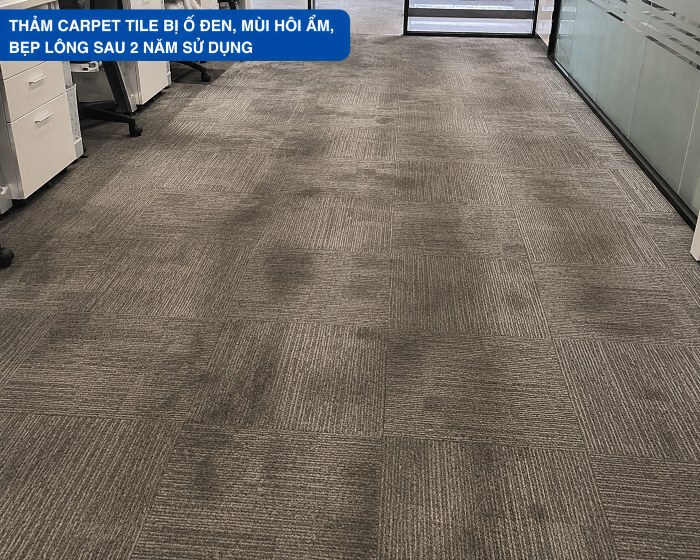 Thảm carpet tile bị ố đen theo vết chân, mùi hôi ẩm, bẹp lông sau 2 năm sử dụng
