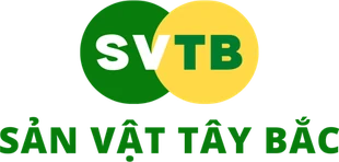 Sản vật Tây Bắc