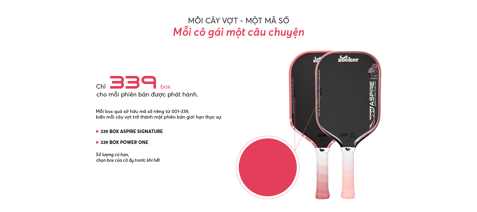 Mỗi cây vợt một mã số
