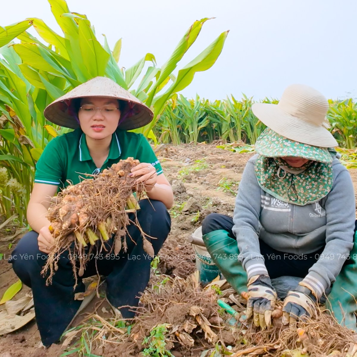 Quy trình sản xuất Mật Nghệ Chuối Xanh
