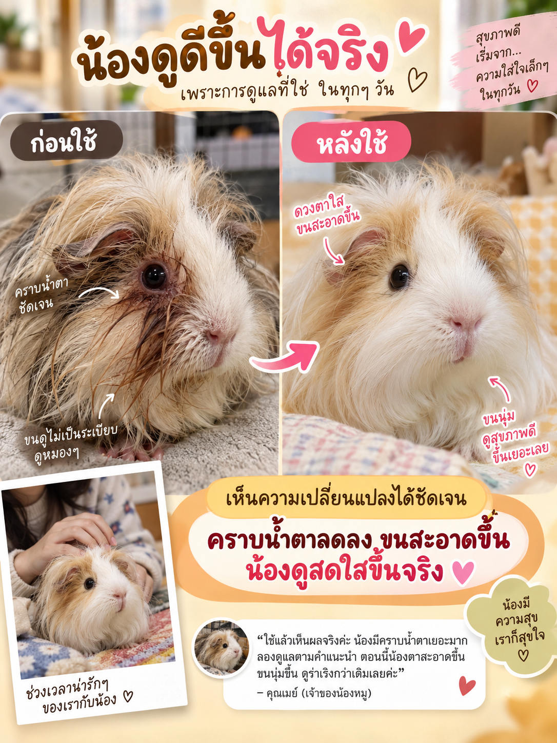 หลังดูแล