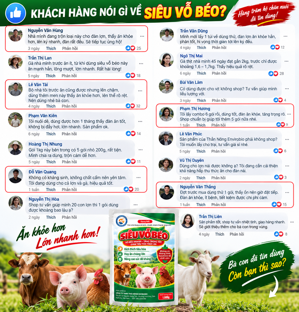 Ảnh seeding tổng hợp minh họa nội dung trao đổi, không phải phản hồi khách hàng đã xác thực