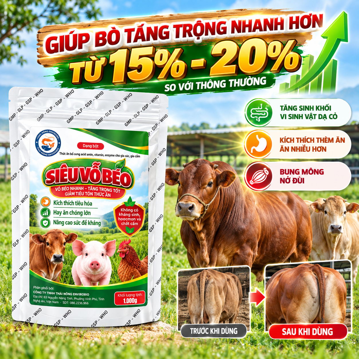 Ảnh giới thiệu Siêu Vỗ Béo cho TRÂU, BÒ, DÊ, CỪU