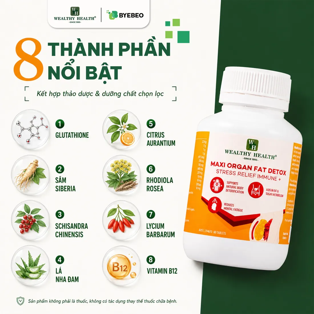 8 thành phần nổi bật của Maxi Organ Fat Detox