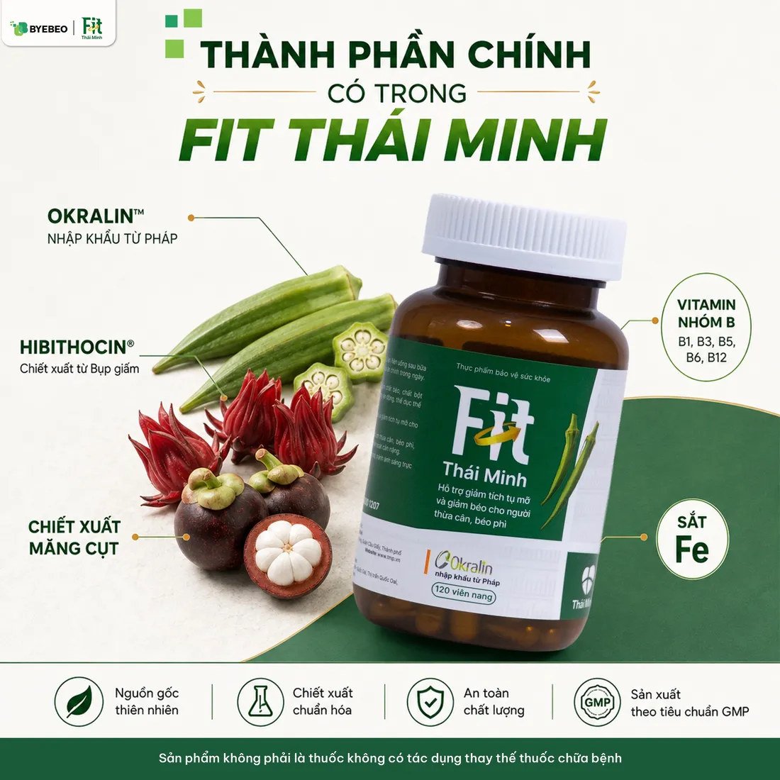 Thành phần chính của Fit Thái Minh