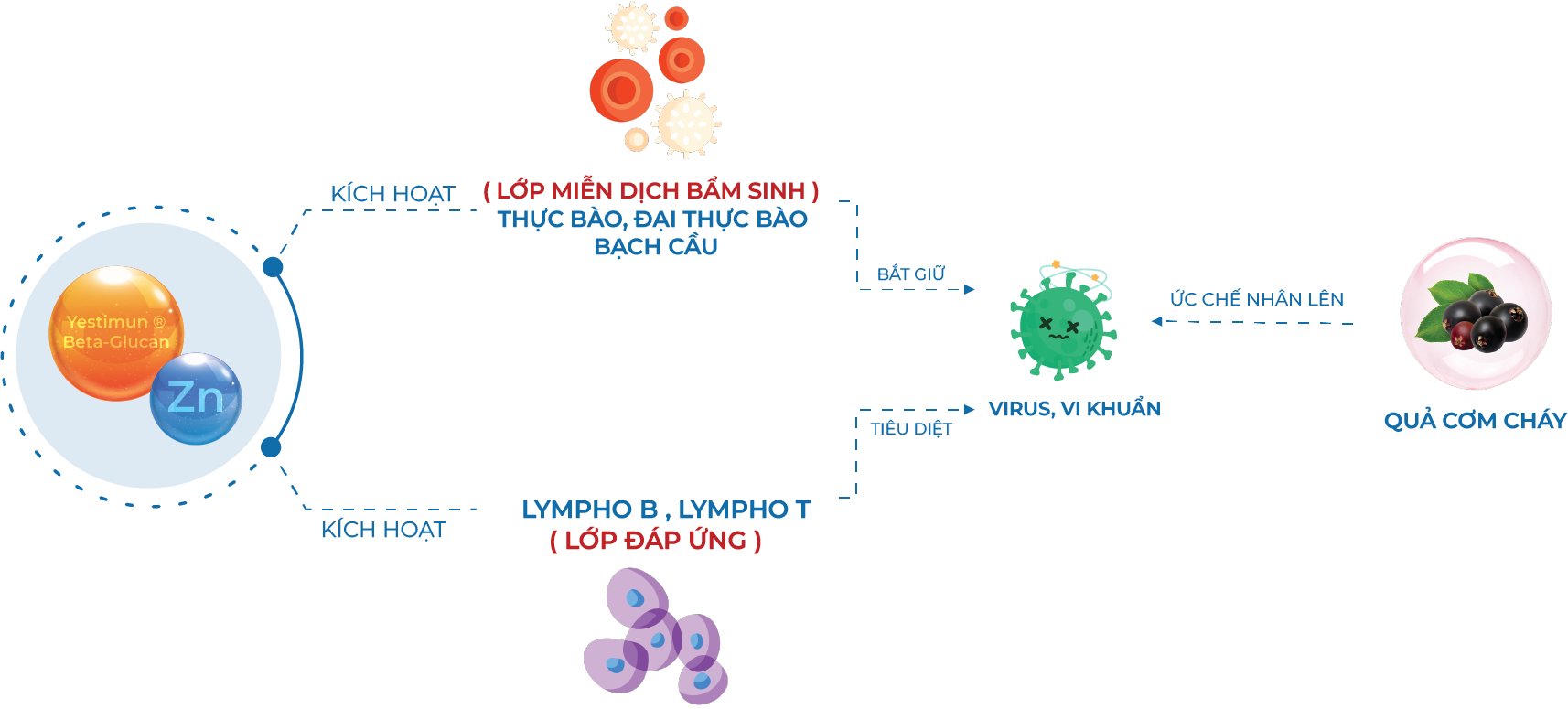 asset 2 20220928041929 klli