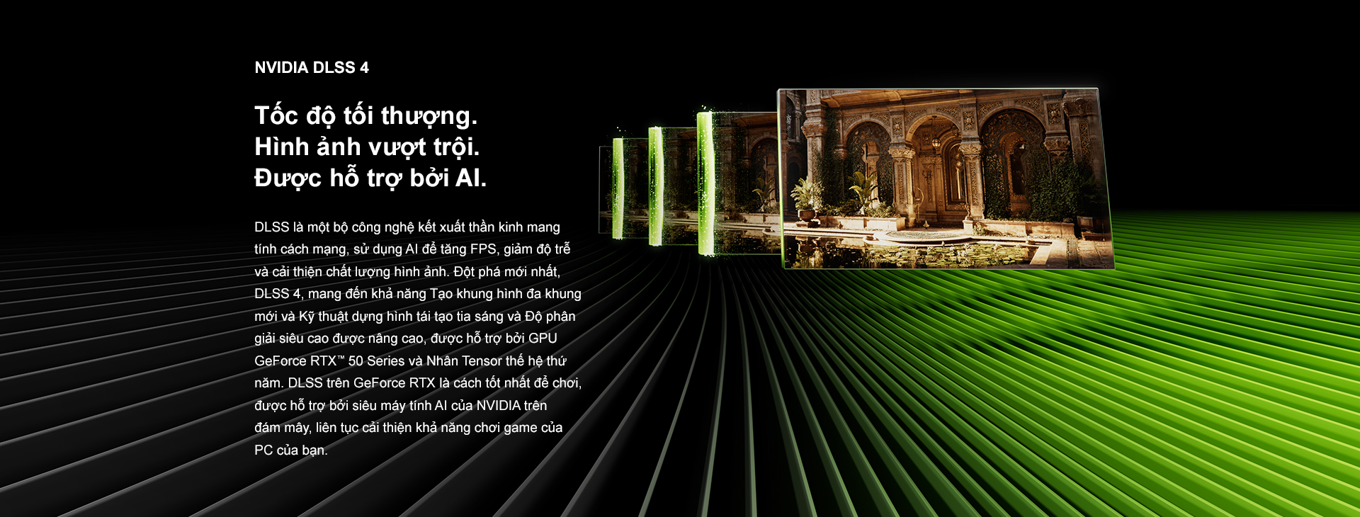 Thông số Nvidia 2025