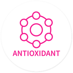 Antioxidant