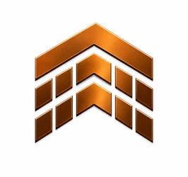 OPM Real Estate Logo