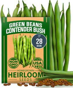 Dwarf Bush Bean Seeds