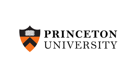 Ảnh 2