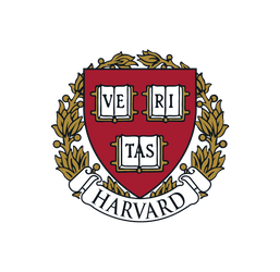 Ảnh 10