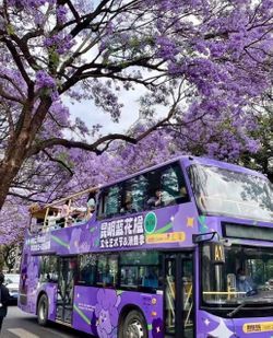 Tour 💢𝐇𝐚̀ 𝐊𝐡𝐚̂̉𝐮- Đ𝐚̣𝐢 𝐋𝐲́ – 𝐂𝐨̂𝐧 𝐌𝐢𝐧𝐡 4𝐍3𝐃 🎉 siêu hấp dẫn