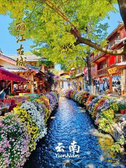 🌸 LỆ GIANG – SHANGRILA 🌸 CHUYẾN ĐI CHẠM TỚI MIỀN CỔ TÍCH GIỮA ĐỜI THỰC