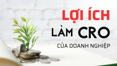 LỢI ÍCH LÀM CRO CỦA DOANH NGHIỆP
