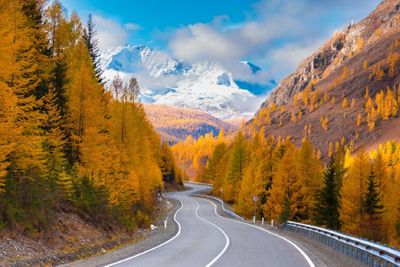 Altai mùa Thu- hẹn gặp giữa trời Vàng