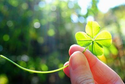 12 Bí Mật Của May Mắn