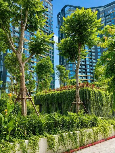 Lumiere Spring Bay sẽ trở thành chung cư Premium nhất OCP 2 – 3?