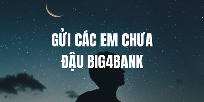 Gửi Các Em Chưa Đậu Big4bank