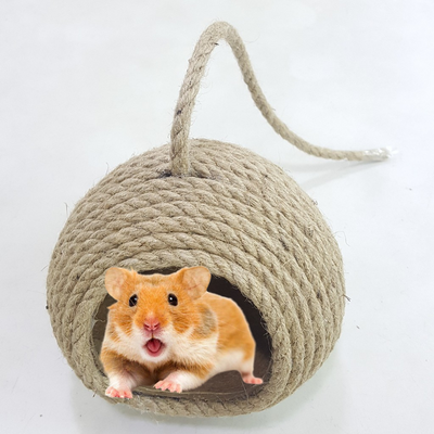 Chuột yêu nhà, tín đồ mê hamster, chọn " tổ ấm " cho thú cưng của bạn.