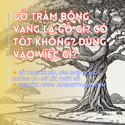 Gỗ Tràm Bông Vàng Là Gỗ Gì? Có Tốt Không? Dùng Vào Việc Gì?