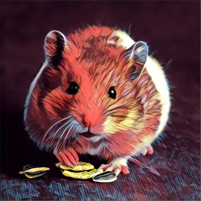 Hamster - thú cưng nhỏ xinh khiến bạn phải “đổ gục” với 5 điều tuyệt vời : dễ thương, thông minh, “luôn biết lắng nghe” và…