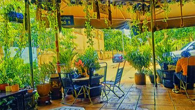 Quán cafe Mộc Coffee : Dành cho dân freelancer, yêu thích  Không gian xanh, yên tĩnh, thoáng mát.