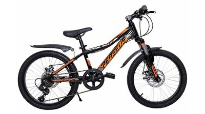 Xe Đạp Thống Nhất MTB, dáng thể thao, cá tính 20-04 20 inch ( 6 - 8 tuổi / Cao 120 - 135cm )