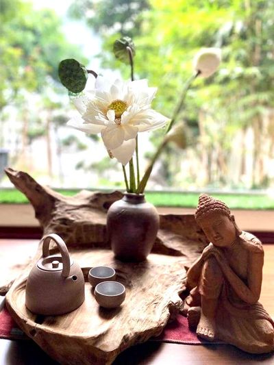 Hành trình đào tạo và trị liêu Reiki của Karma Nguyễn