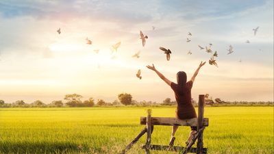 Cần vượt qua Tâm ghen ghét đố kỵ và sân hận