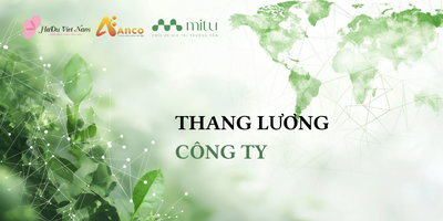 HADU GROUP - Thang lương công ty