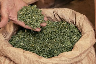 Biodynamic hay Sinh học Năng lượng là gì?